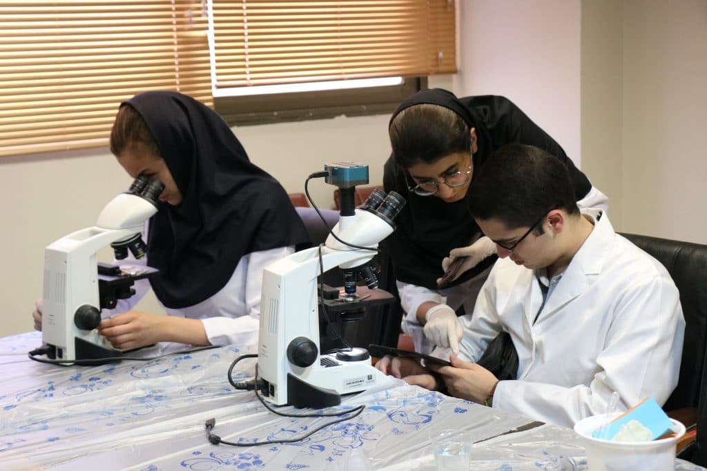 gallery-intro-to-biology-4874