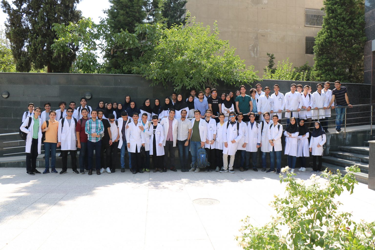 gallery-intro-to-biology-52846